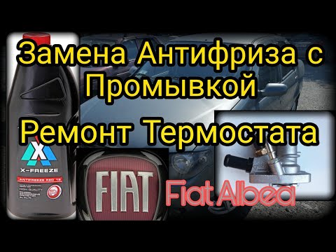 Замена термостата(ремонт) и Замена Антифриза с промывкой системы охлаждения Фиат Альбеа (Fiat Albea)