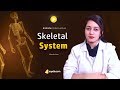 Skeletal System | Gross Anatomy Video | Grants Atlas Video Lecture | sqadia.com