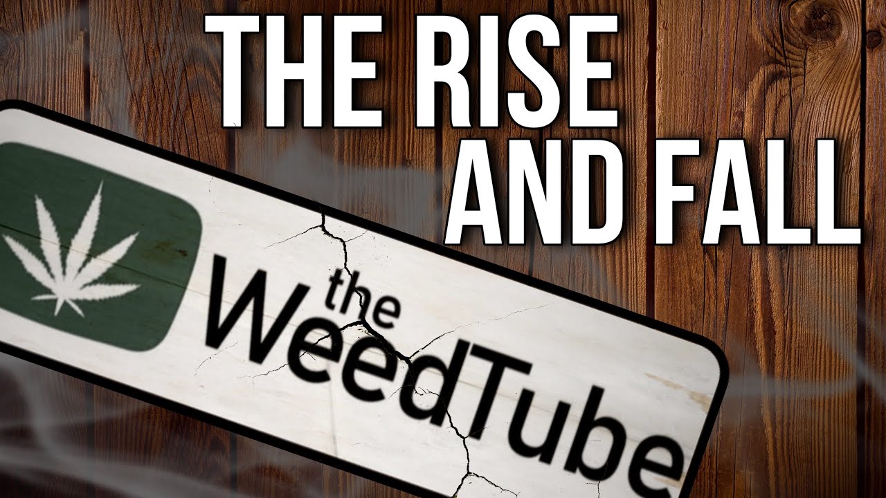 The Rise and Fall of WEEDTUBE.com