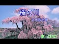 桜の川(三代沙也可)~ZENZI