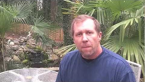 How To Make An iFrame Fan Page Free HTML Templates