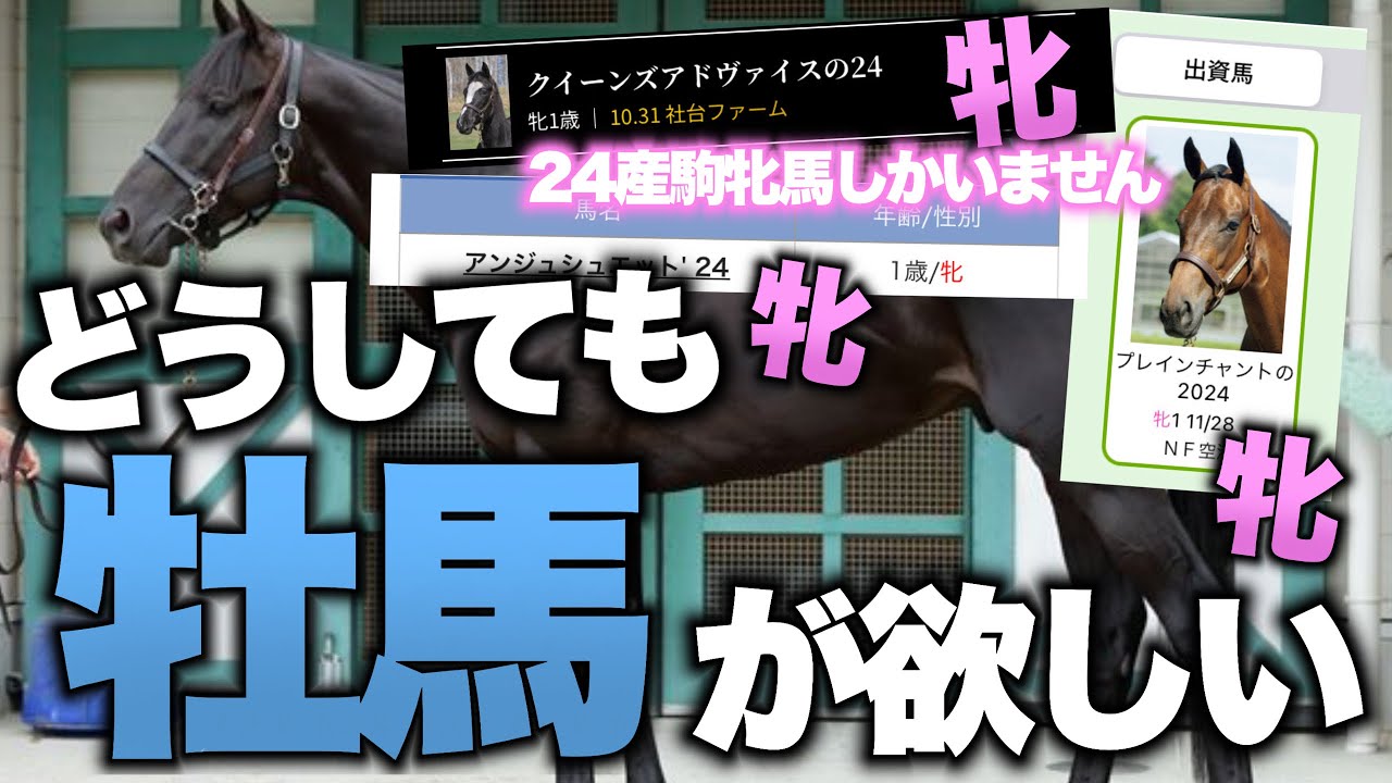 【一口馬主】24年度産駒の出資馬が牝馬しかいないので今から全力で牡馬を探します！