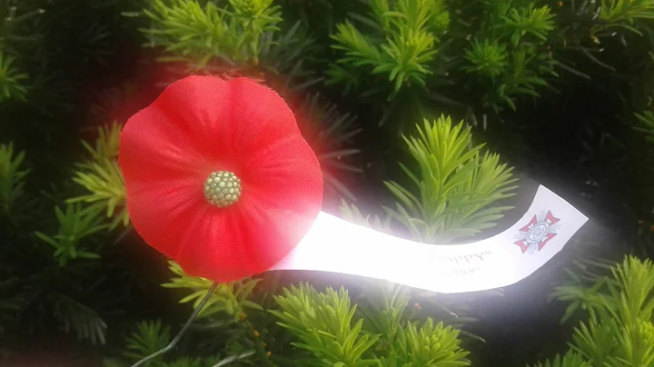 Sunday Service: "Grief and Remembrance" with Rev. ...