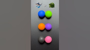 🧠Brainrot Mixing (Part 143) Guess the last color #brainrot #memes #colormixing #sharkzhan