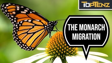 10 Science Mysteries That Have Actually Been Solved