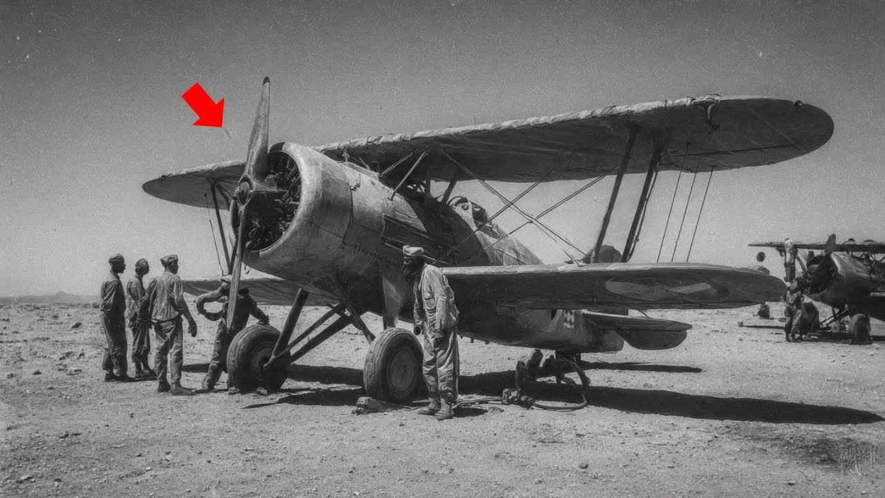 Derisero questo aereo italiano “economico” — finché in 96 ore abbatté 11 bombardieri britannici