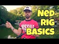 NED RIG BASICS