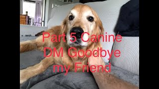 Part 5 Canine Degenerative Myelopathy Goodbye my Friend