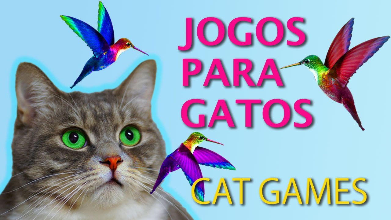 JOGO PARA GATOS - Entretenimento Para Gato! (Vídeo Para Gatos