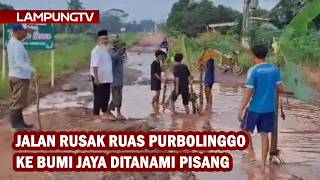Jalan Rusak Ruas Purbolinggo ke Bumi Jaya Ditanami Pisang
