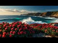 一瞬で自律神経を整えるピアノ音楽 #癒し音楽 #ヒーリングミュージック #relaxing #癒し音楽 #自律神経を整える #リラックス音楽 #風景 #rose
