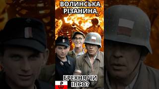 Волинська різанина: брехня чи ІПСО? #бандера #мельник #упа #оун #польща #арміякрайова #кох #геноцид