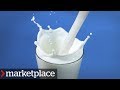 Want to skip drinking milk? Watch this first (Marketplace)