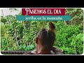 Viviendo en medio del bosque || Un día en mi vida || De Nova con Amor