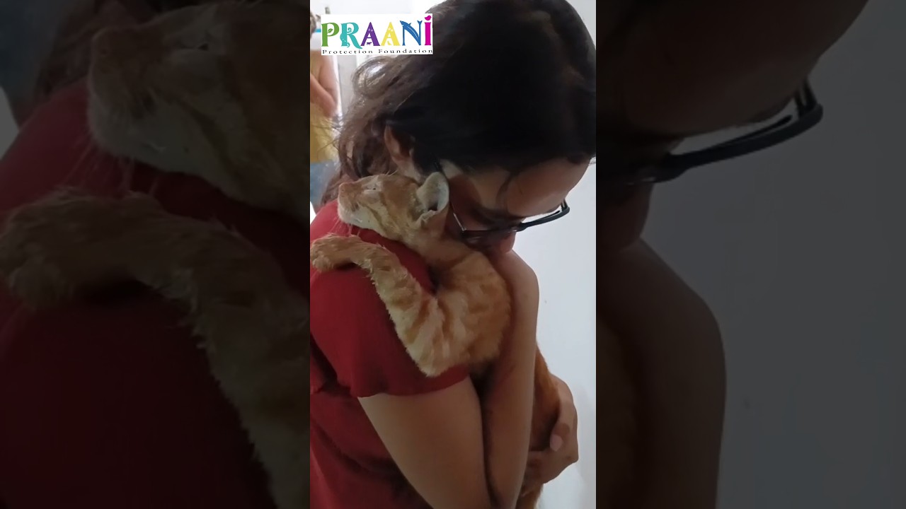 Hazelnut | Neurological Issues Rescue | A Surprise in Delhi!