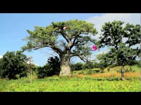 Kirène spot tv