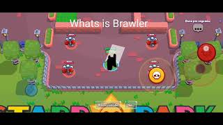 Whats is Brawler