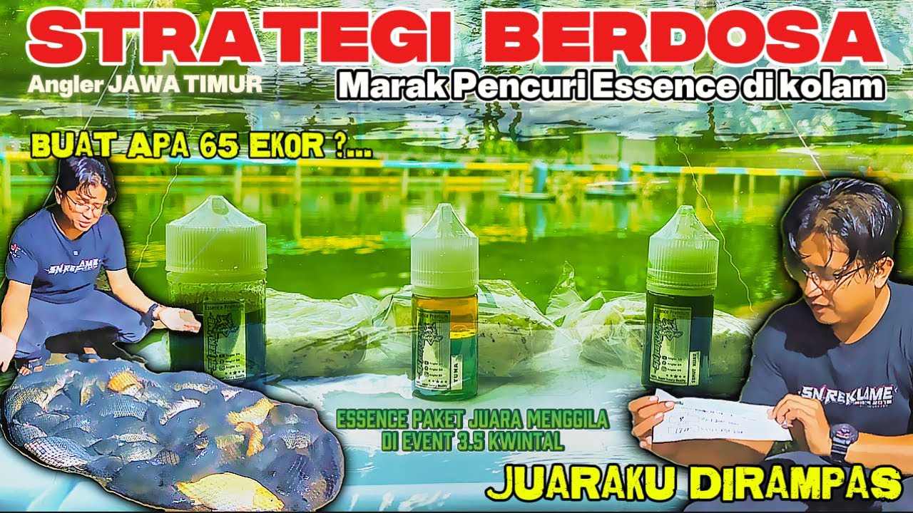 Gerombolan ikan enggan pergi dan Antre Makan tiadahentinya