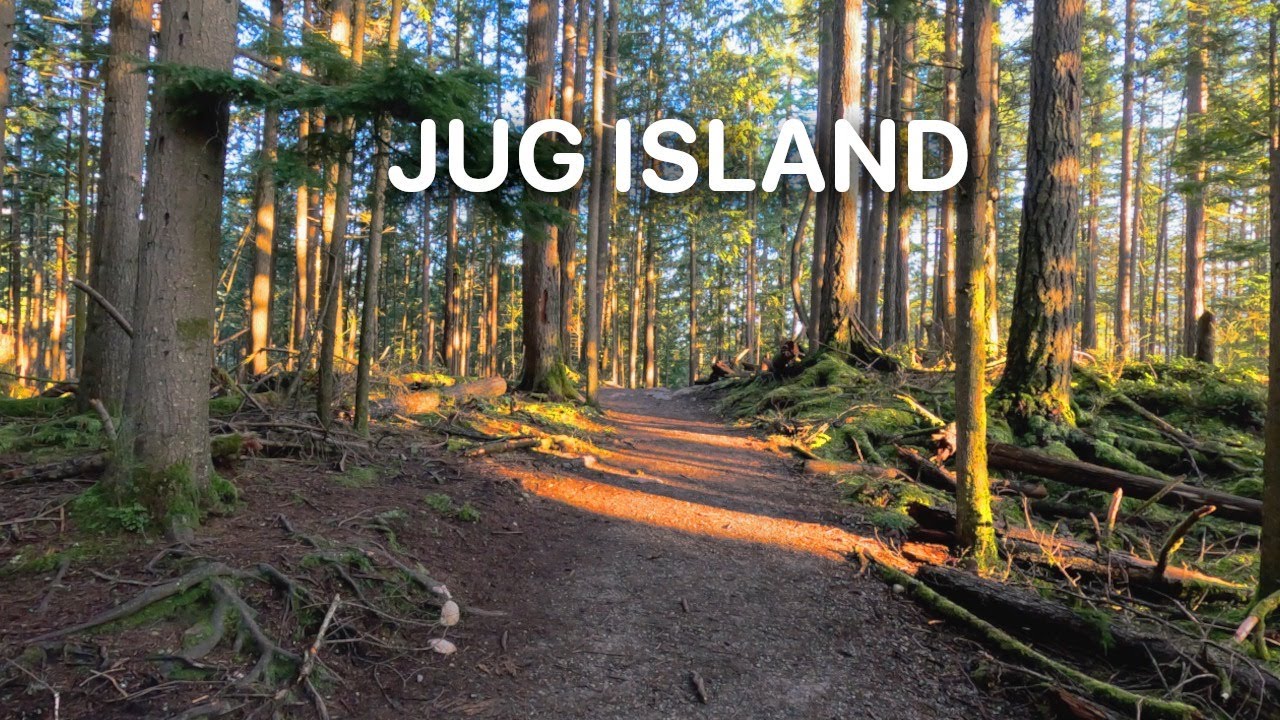 Quiet Coastal Forest Walk | Hidden Gem Near Vancouver 🇨🇦 | Jug Island Hike