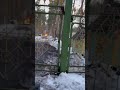 Гусейн Гасанов - Гори ясно Гори , Гелик!