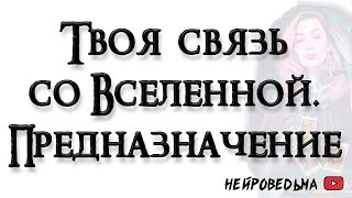 Твоя связь со Вселенной. Всё о тебе и твоём предназначении 🍀 Таро расклад 🍀 Таротерапия 🍀 #таро