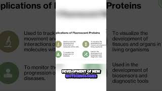 Glow Up  The Amazing World of Fluorescent Proteins 🌟