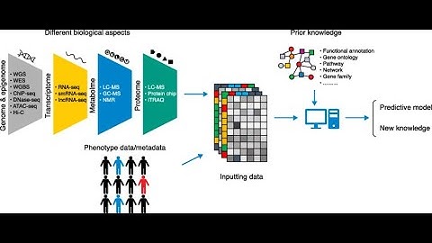 Genomics in Data Science | bioinformatics