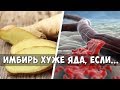 ИМБИРЬ И ЕГО ТЕМНАЯ СТОРОНА