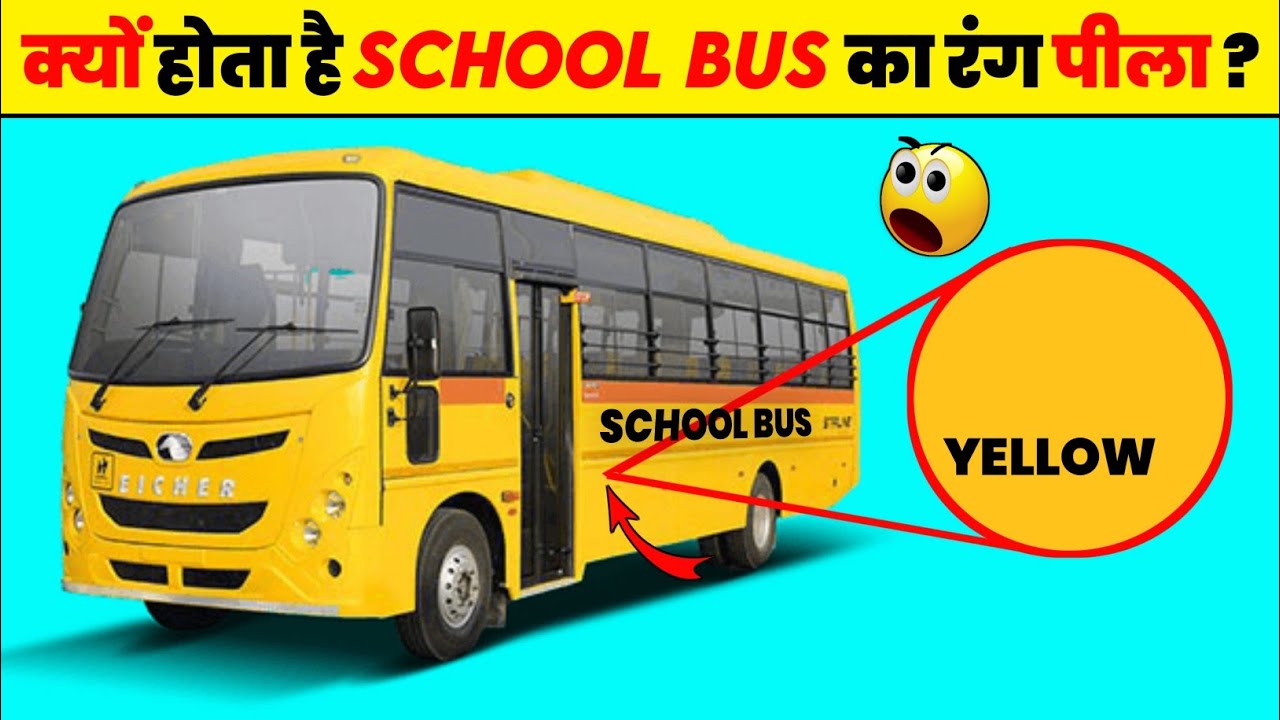 kyu hota hai school bus ka rang pila? school bus pila hi kyu hota hai