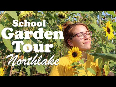 Northlake School Garden Welcome Tour