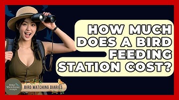 How Much Does A Bird Feeding Station Cost? - Bird Watching Diaries