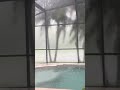 Florida Rainstorm 🌧️ Relaxing Rain Sounds #shorts #shortvideo