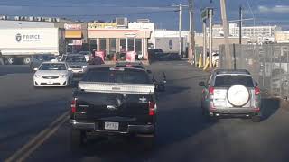 Ducks Crossing Bazy Street
