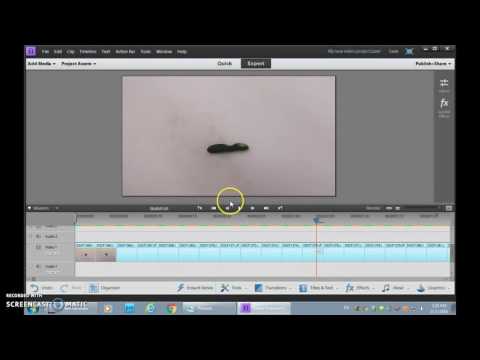 Creating Stop Motion Videos in Premiere Elements 11
