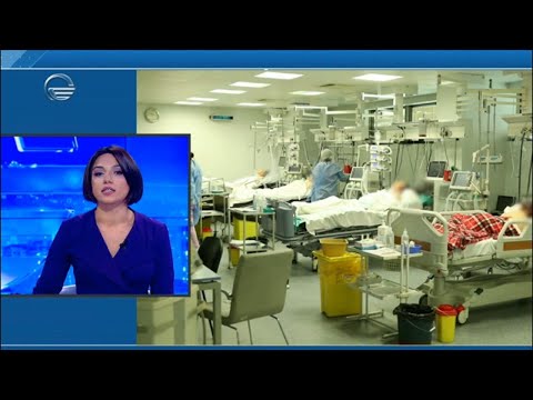 დღის ქრონიკა - 4 დეკემბერი, 2020 წელი