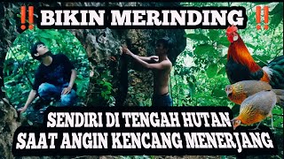 BIKIN MERINDING‼️HUJAN BADAI MENERJANG PADA SAAT MEMASANG PIKAT AYAM HUTAN 