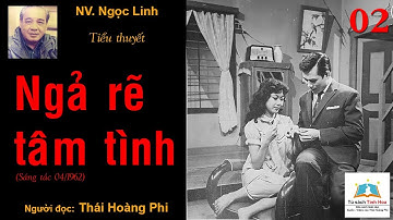 NGÃ RẼ TÂM TÌNH. Tập 02. Tác giả: NV. Ngọc Linh. Người đọc: Thái Hoàng Phi