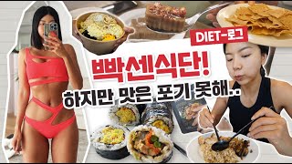 [식단Vlog] 여름맞이 🐕빡쎈 다이어트식단 (곤약김밥, 두부말차크림치즈, 닭가슴살우유콜라보)