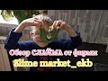 Обзор СЛАЙМА /Слайм от фирмы Slime market_ekb /Отзыв