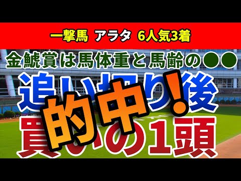 金鯱賞2023 追い切り後【買いの1頭】公開！好走率の高いデータと前走内容を徹底検証！中京を得意とするコース巧者を狙い撃ち！