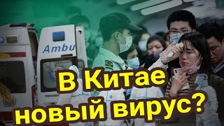 В Китае новый вирус? Таро