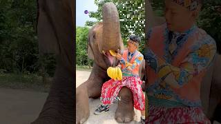 Elephant built Different #miniatureart #ytshorts @zackdfilms @USATODAY@FantasticFamily-l2y #viral