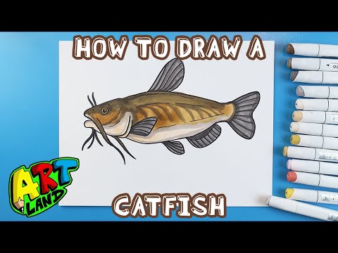 Video: How To Draw A Catfish