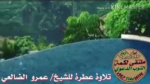 تلاوة عطرة / للشيخ المبارك. عمرو علي الضالعي حفظه الله