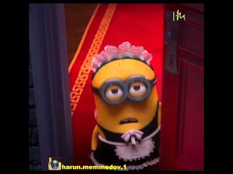 Minions - Akula Necesen?