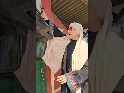 طلقني قلت ليك طلقني