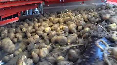 Potato, Carrot, Onion - Dirt Eliminator - Scotts Evolution.