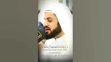 #hajj | Raad Al kurdi Whatsapp status with Urdu English translation| سورة الحج رعد الكردي