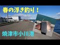 【浮き釣り】焼津市小川港で浮き釣り！ vol13