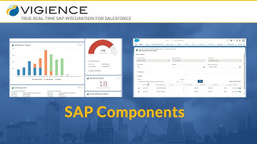 Vigience Overcast - SAP Components